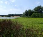 Site Natura 2000 des Etangs d'Asnières. Crédit photo : Sarah Bégoin