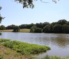 Site Natura 2000 des Etangs d'Asnières. Crédit photo : Thérèse Bois Rousseau