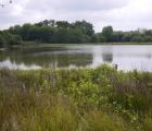 Site Natura 2000 des Etangs d'Asnières