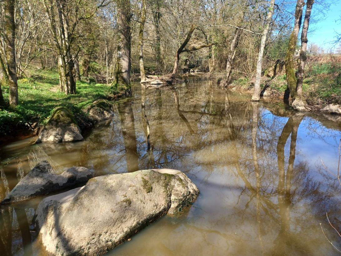 Site Natura 2000 des Etangs d'Asnières. Crédit photo : Simon Thubé