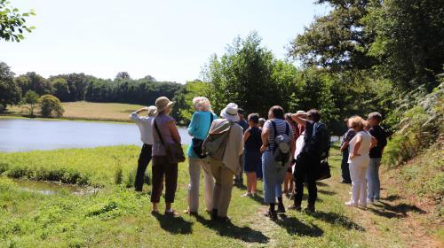 Sortie grand public sur le site Natura 2000 des Etangs d'Asnières. Crédit photo : Thérèse Bois Rousseau